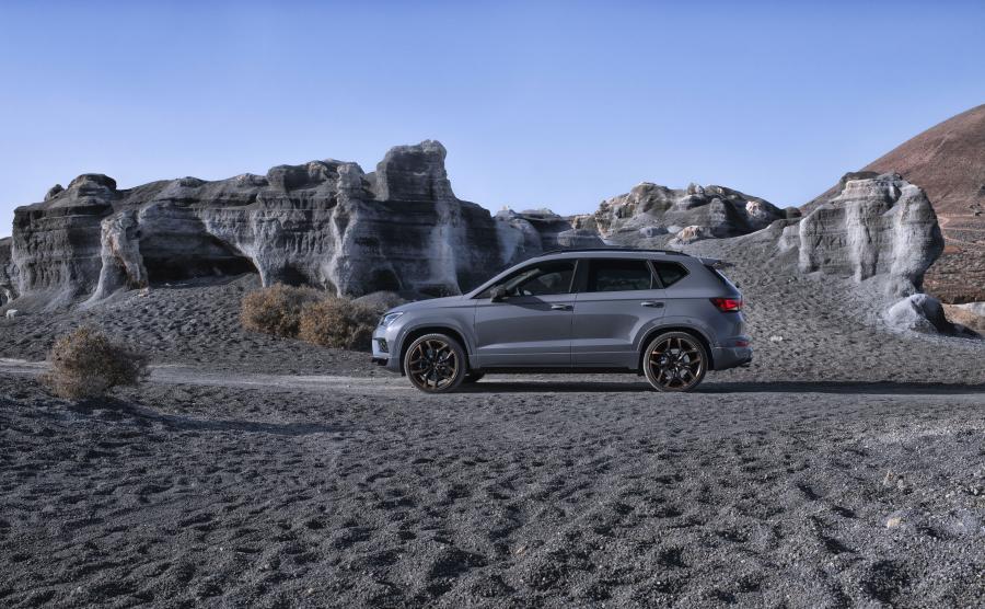  Cupra Ateca Limited Edition 2019 года  (WW) (фото 13 из 40)